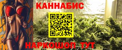 СК Обь