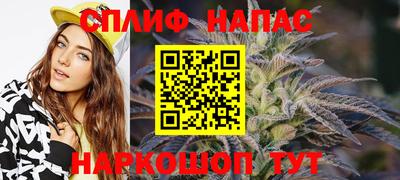 СК Обь