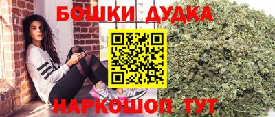 крисы Партизанск
